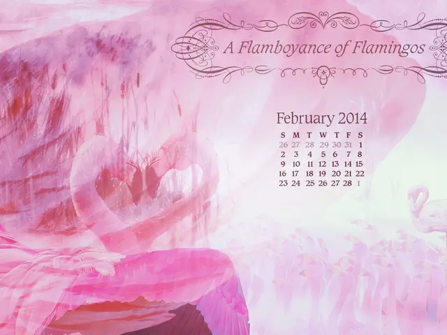 Comprehensive Instructions for Establishing an Editorial Schedule