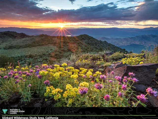 Seven Showcases of Silence's Influence in Nature Poetry Sparking Awe