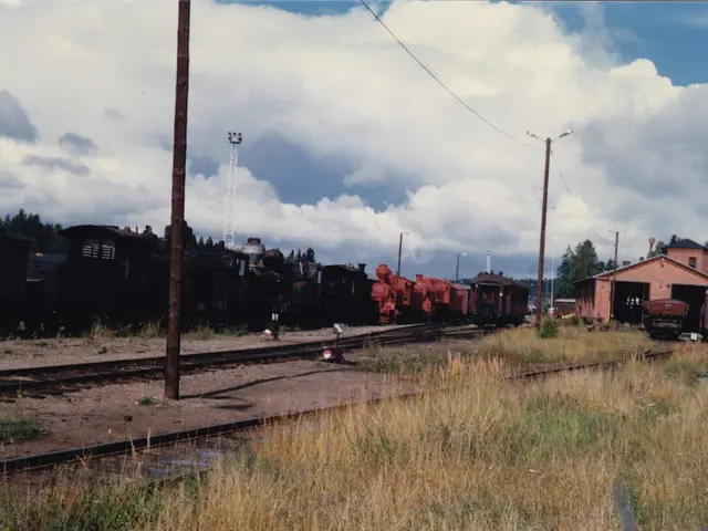 Guided Stroll around Big Goose Creek on August 12th