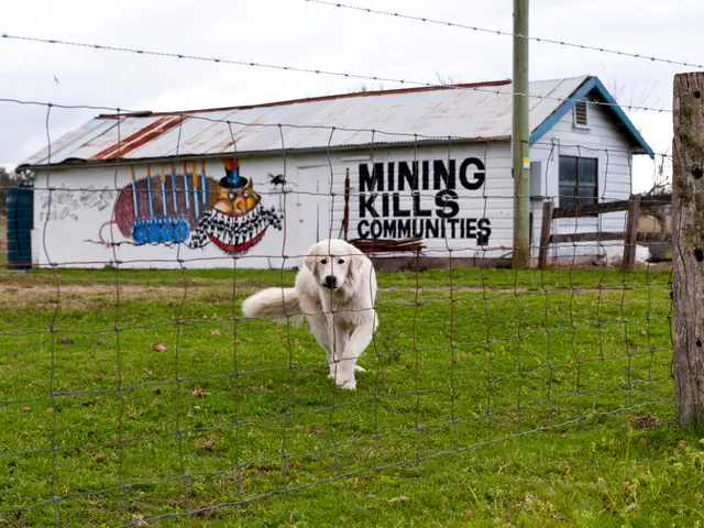 Increasing Number of Millennials Purchase Properties for Canine Companions