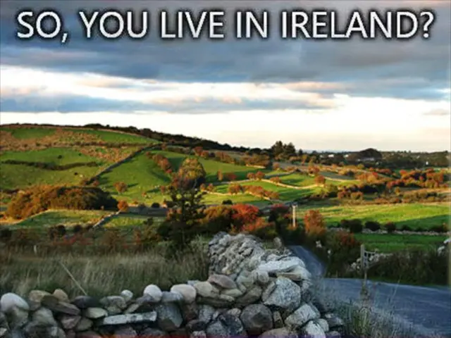 Business within the community appeals for assistance in restoration following wildfire destruction