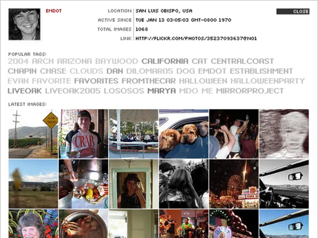 "Exploring 14 Varieties of Logos and Their Application for Your Business Identity"