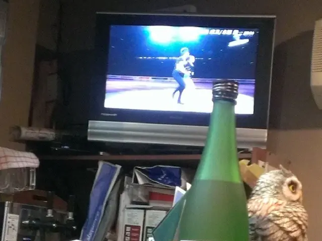 Magical animal school depicted in a children's book under scrutiny at the Saarlouis city library.