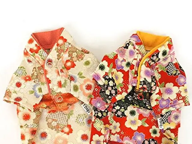 Twenty-one captivating springtime frocks that merit your attention, prompting a compulsion to share...