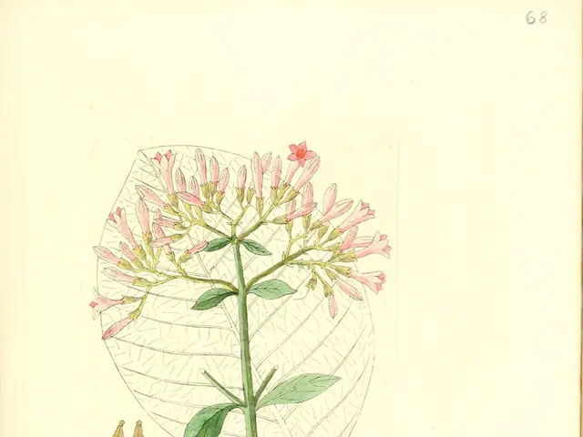 Growing Snapdragons: Exploring their Symbolic Significance and Nurturing Techniques