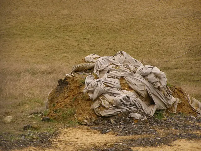 Removing Water Spots from UGG Boots: A Step-by-Step Guide