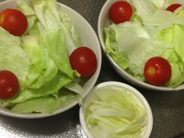 Cultivating Zucchini in the UK: The Comprehensive Handbook for Gardeners