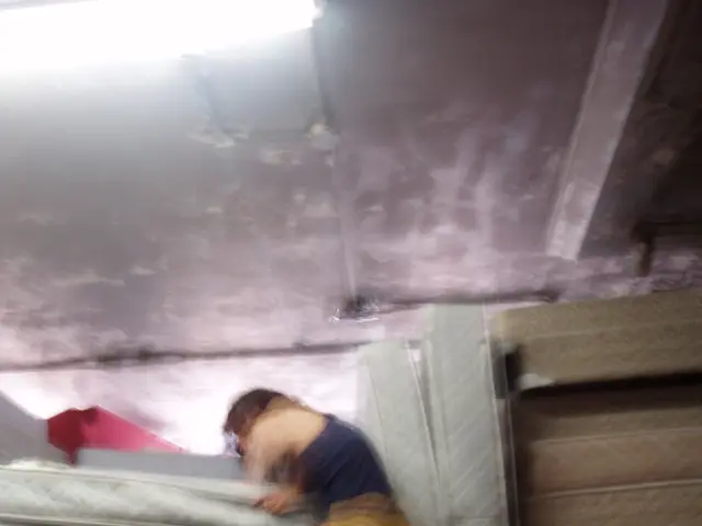 Uncovered discoveries from our latest mattress assessment evaluations