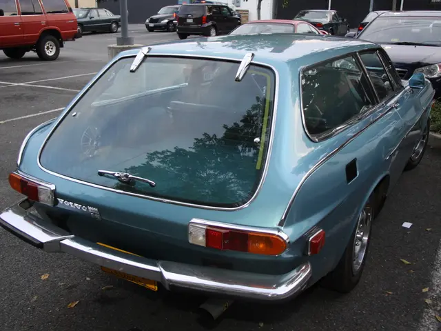 Contestants in Tom Park: Competing for Parking Spots or Surveillance in Shrubbery