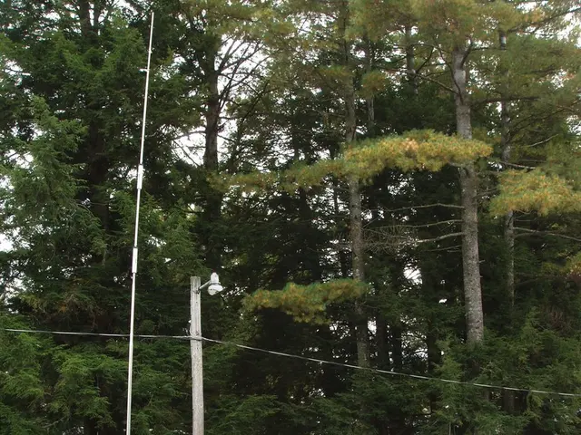 Transformed a 1997 stationary motorhome for £5,000 into a dreamy mini dwelling using DIY projects...