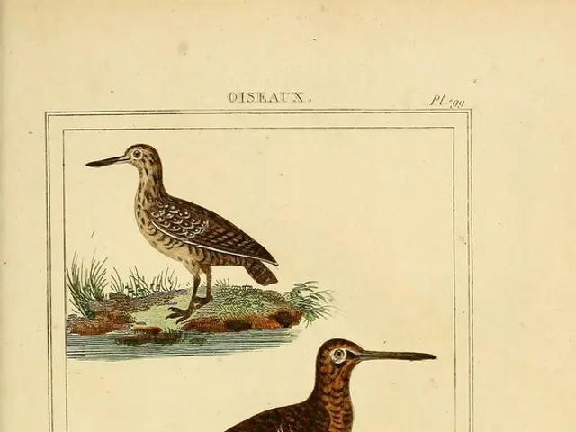 Strategies for Supplying Avian Diners from Your Own Backyard