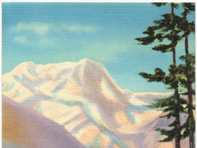 Art-filled hike: A combination of natural beauty and cultural exploration through a scenic trail