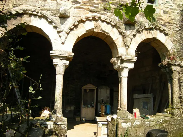 Enhance Your Plant Arrangements: Discover Stylish Plinths, Pedestals, and Plant Stands that Elevate...