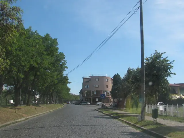 Uncovered: Top Picks for Used Vehicles Across All Categories