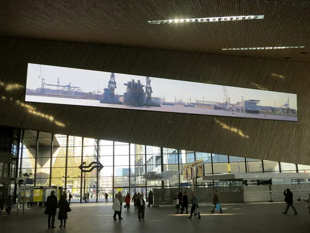 Top-notch Privacy Fences Suitable for Yards, Offices, and More Expanses