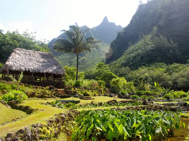 Cyclic Edema Explained: A Recurring Swelling Ailment