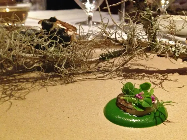 Vacation Event at Rail Stations