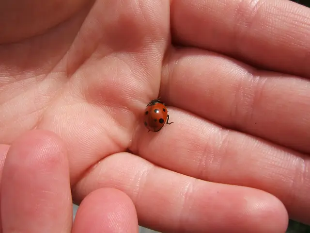 Vein clot developing on the brain: Symptoms, triggers, and prognosis