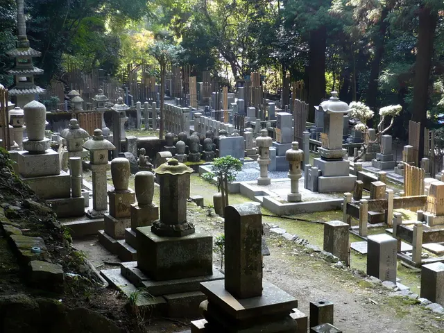 Tree burials are becoming popular choices for final resting places