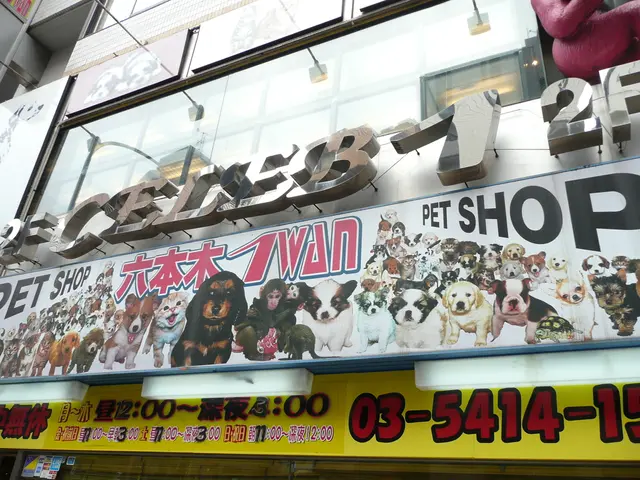 Intentional Clean-Out Events Aided Me in Organizing My Vacated Home Prior to Downsizing