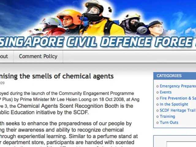 Top 10 Essential WordPress Themes for Blogger Use in 2024