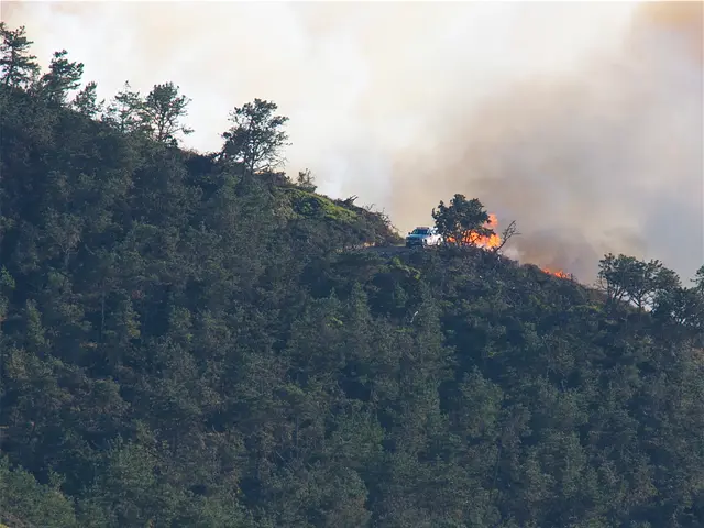 Campsite Choice: The Pioneering Camper's Haven