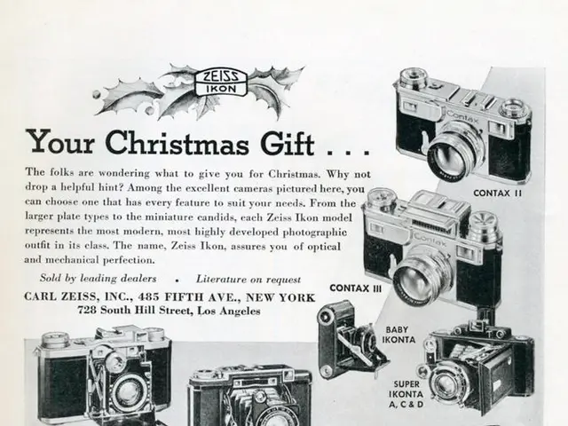 Departing from Nest: Exploring the Reasons for Choosing Reolink over Nest