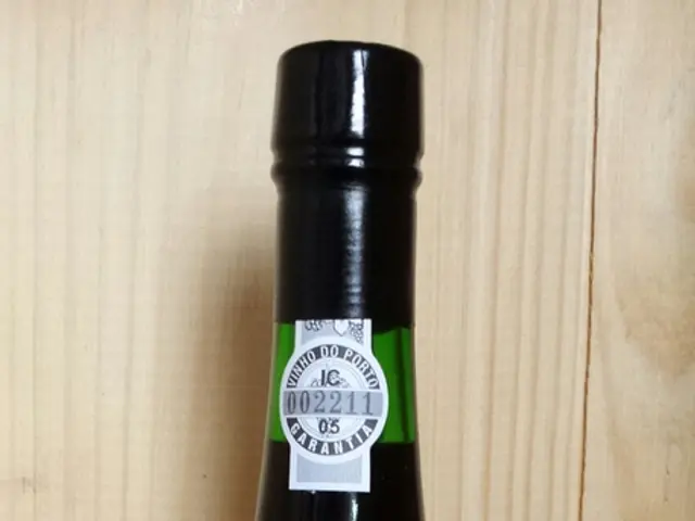 Brewing Spruce Beer and Various Delicious Concoctions - Spruce Beer Recipe, Spruce Mead, Cider...