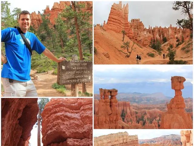 Investigation into the Source: Rediscovery of the Lava Basin