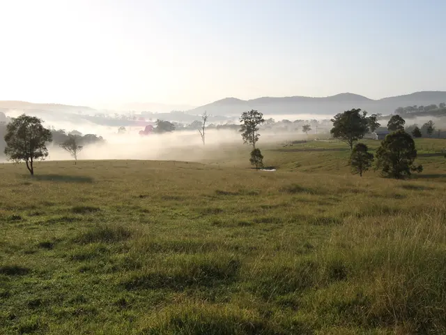 Landscaping Guide and Calendar for the Southeast Region