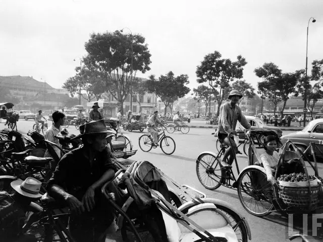 Allocated funds cater for the educational expenses of transport specialists and additional...